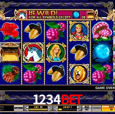 1234BET Rio de Janeiro - Bonus Terms